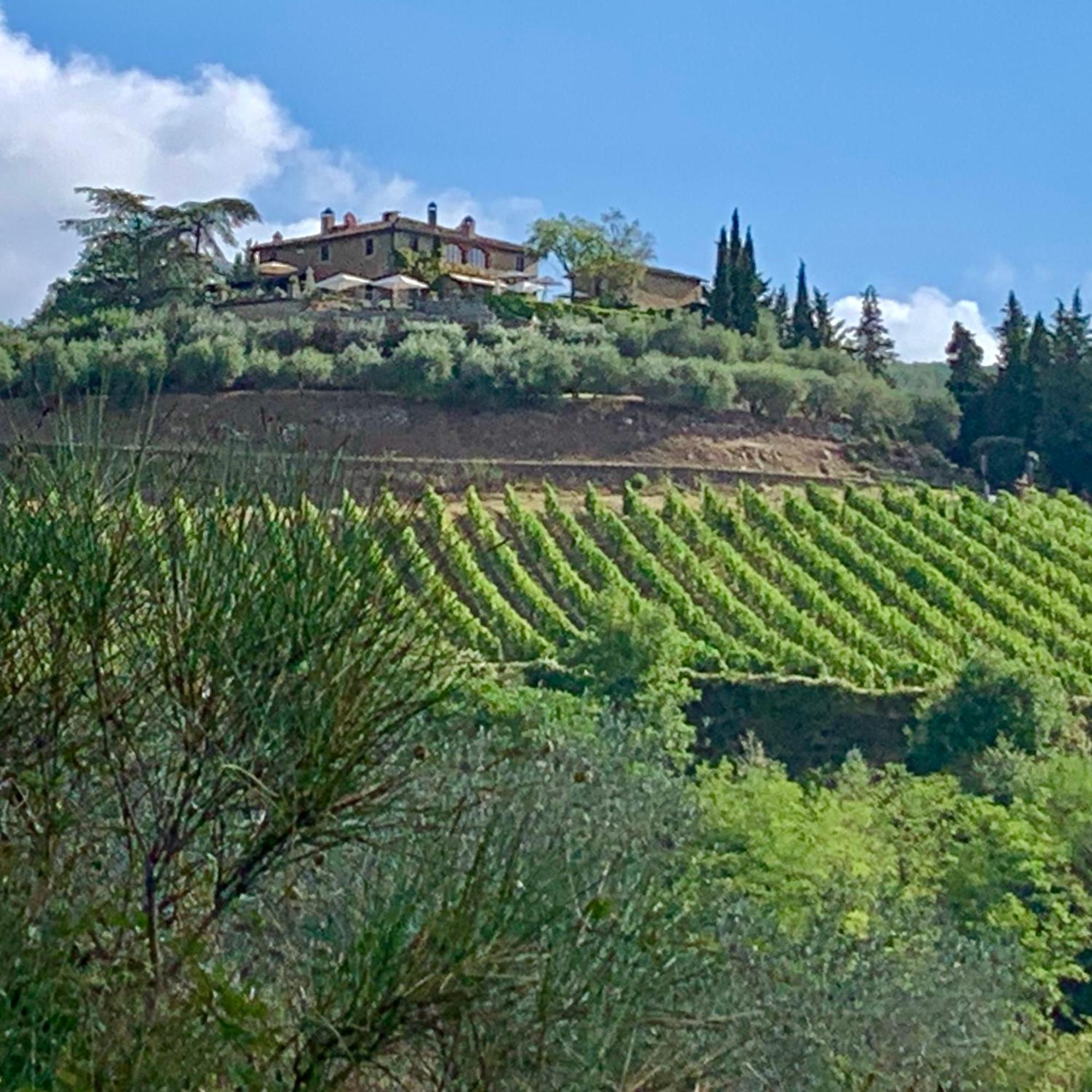 Capannelle Wine Resort Gaiole in Chianti Exterior foto